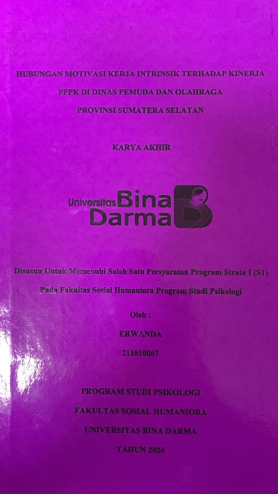 Cover Hubungan Motivasi Kerja Intrinsik Terhadap Kinerja PPPK di Dinas Pemuda dan Olahraga Provinsi Sumatera Selatan / Erwanda